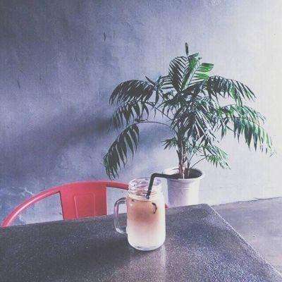 修仙ol小米版下载