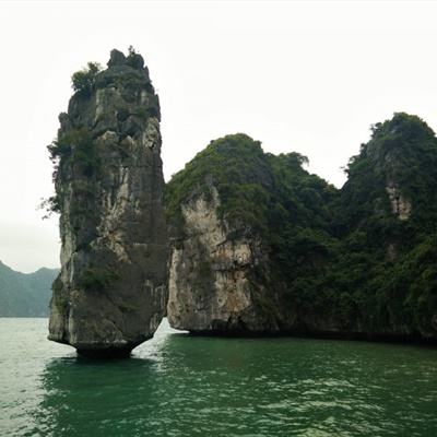 宝可梦随乐拍游戏